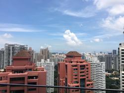 OUE Twin Peaks (D9), Condominium #122713092